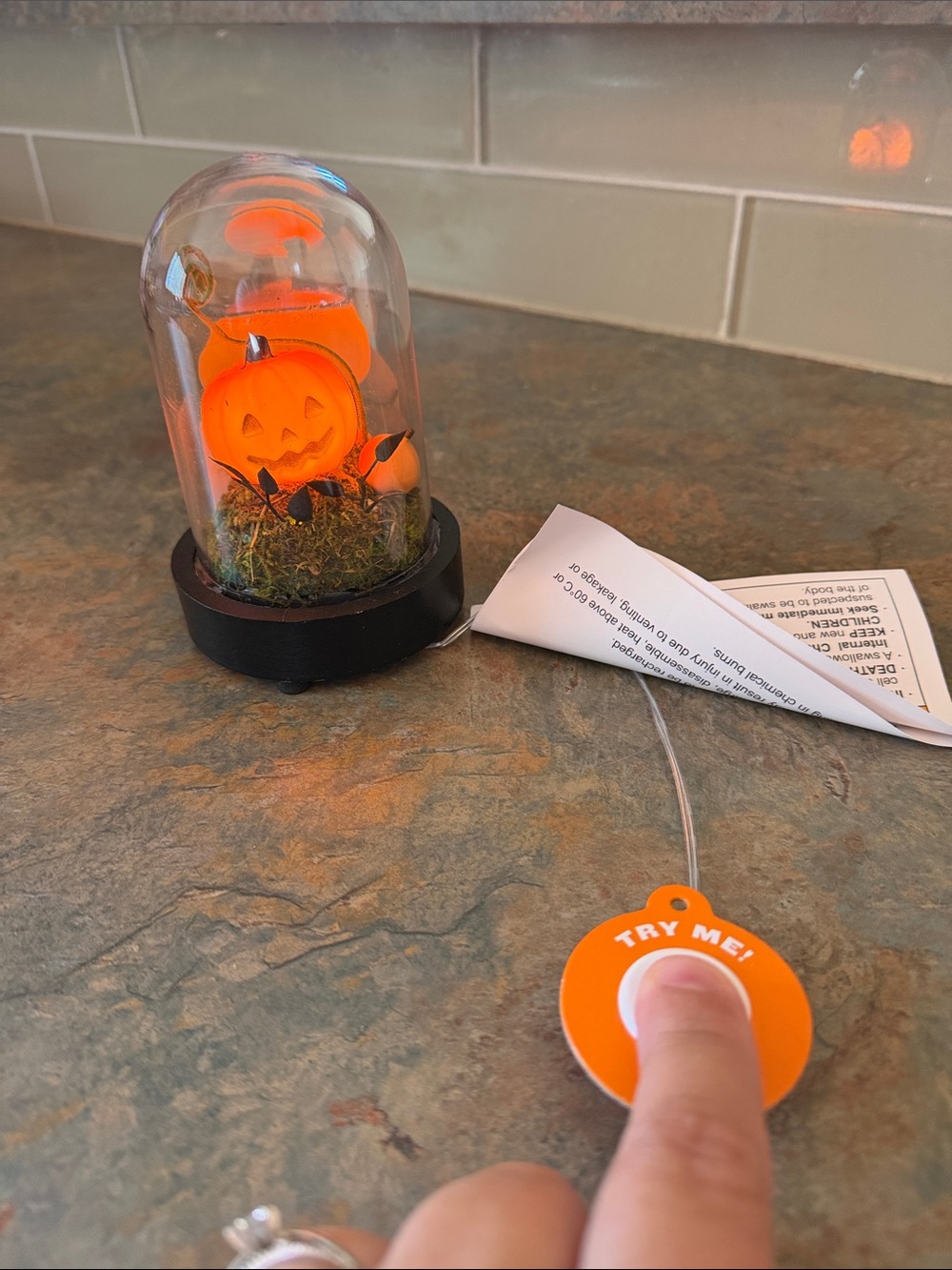 Small Light Up Pumpkin Patch Globe NWT